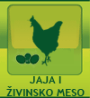 jaja