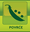 povrće