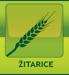 žitarice